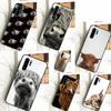 Шотландские коровы Для Huawei Nova 11i 8i 7i 3i Nova 9 10 SE 5T Y60 Y70 Y90 Y91 Y61 P20 P30 P40 Lite Pro Чехол