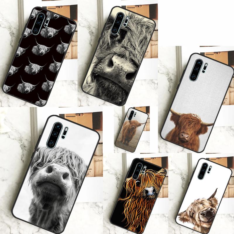 Шотландские коровы Для Huawei Nova 11i 8i 7i 3i Nova 9 10 SE 5T Y60 Y70 Y90 Y91 Y61 P20 P30 P40 Lite Pro Чехол