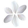 100 Cut Feathers - White 6 Cm