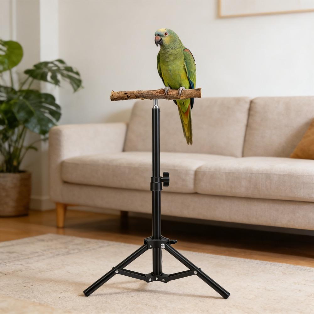 Alloy Bird Training Perch Adjustable Height Outdoor Bird Stand Indoor Play Area