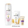 Pantene Color & Perm Repair Shampoo Kit