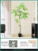 Artificial Nandina Domestica Potted Plant for Home Decoration - Green Ornamental Bonsai for Living Room or Sofa Side Decor.