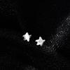 Little Star Earrings Female Fresh and Cute Mini Pentagram Brushed Earrings Korean Edition Niche Design Jewelry