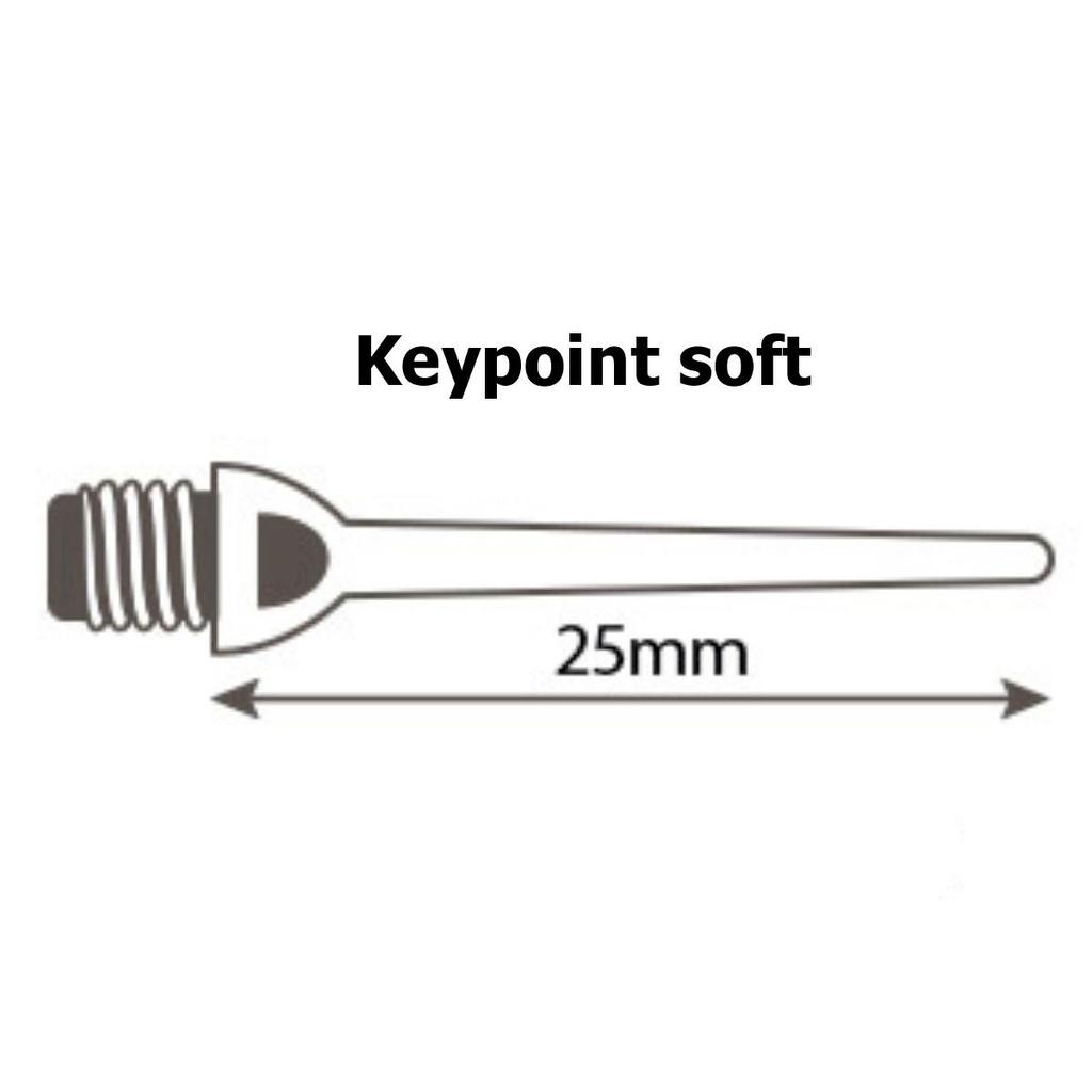 Tips for Darts MASTER Keypoint soft 2BA