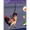 Adjustable Chicken Harness With Leash, Breathable Harness Vest compatible  Duck &amp; Goose, Pet Harness Leash Set Of 3