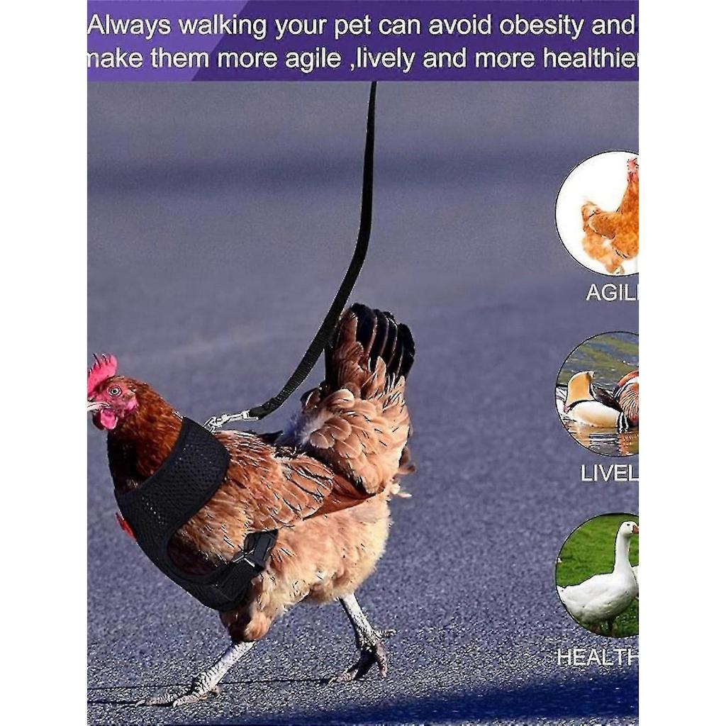 Adjustable Chicken Harness With Leash, Breathable Harness Vest compatible Duck & Goose, Pet Harness Leash Set Of 3