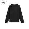 Puma Мужской флисовый пуловер 692907