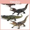 ПВХ Модель Крокодила Дикое Животное Статическая Модель Игрушка Для Коллекционеров И Образовательных Целей