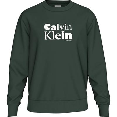 Calvin Klein Толстовка LV04LD242G
