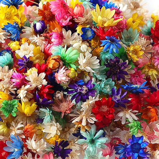 Привлекательный стабилизированный цветок, отличное качество изготовления, натуральный цветок ручной работы