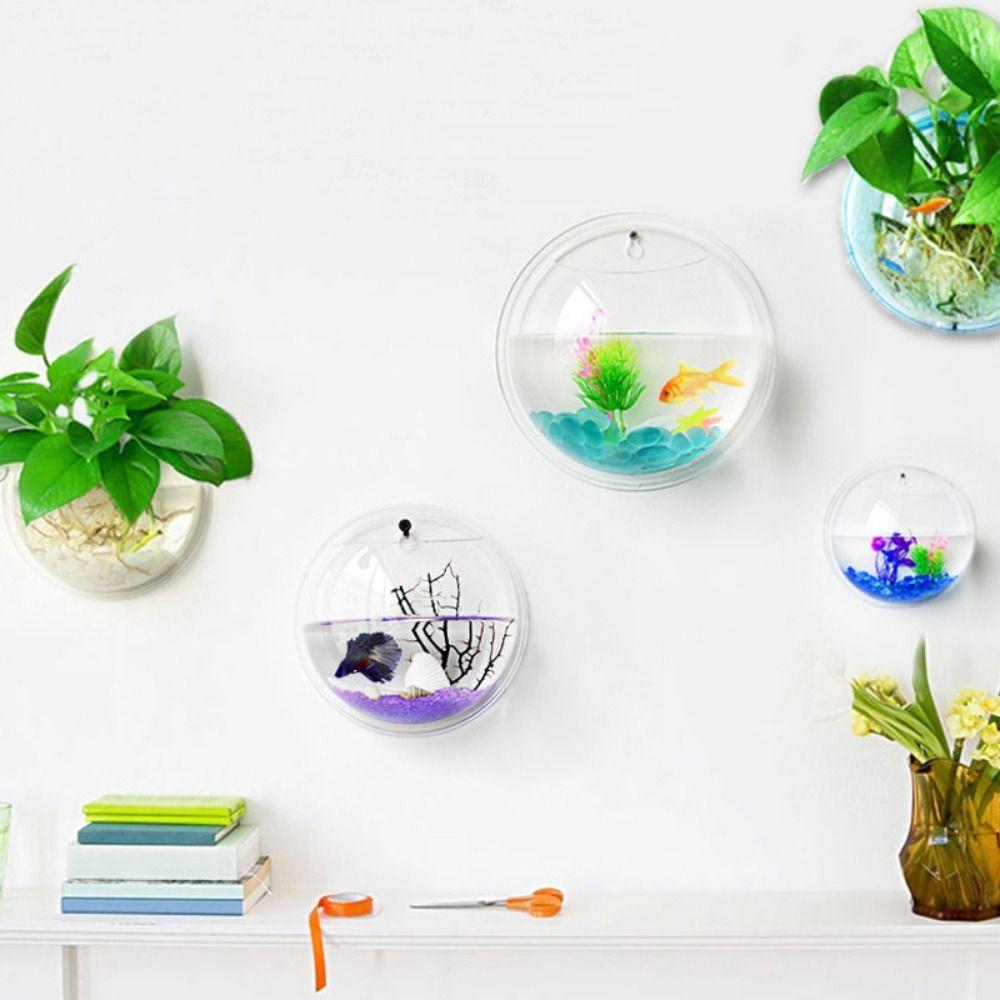 Настенный аквариум в форме полусферы, прозрачный подвесной аквариум для петушков, украшение для офиса