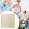 Reusable Incontinence Pads Waterproof Chair And Bed Protector Washable Seat Mat for Wheelchair Plane Seats Train Seats