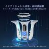 Facial Beauty 4 1 Dual Face Body Facial EMS Multifunctional Facial Beauty Home Facial Beauty USB Ultra Easy To Home Japanese Instruction Manual