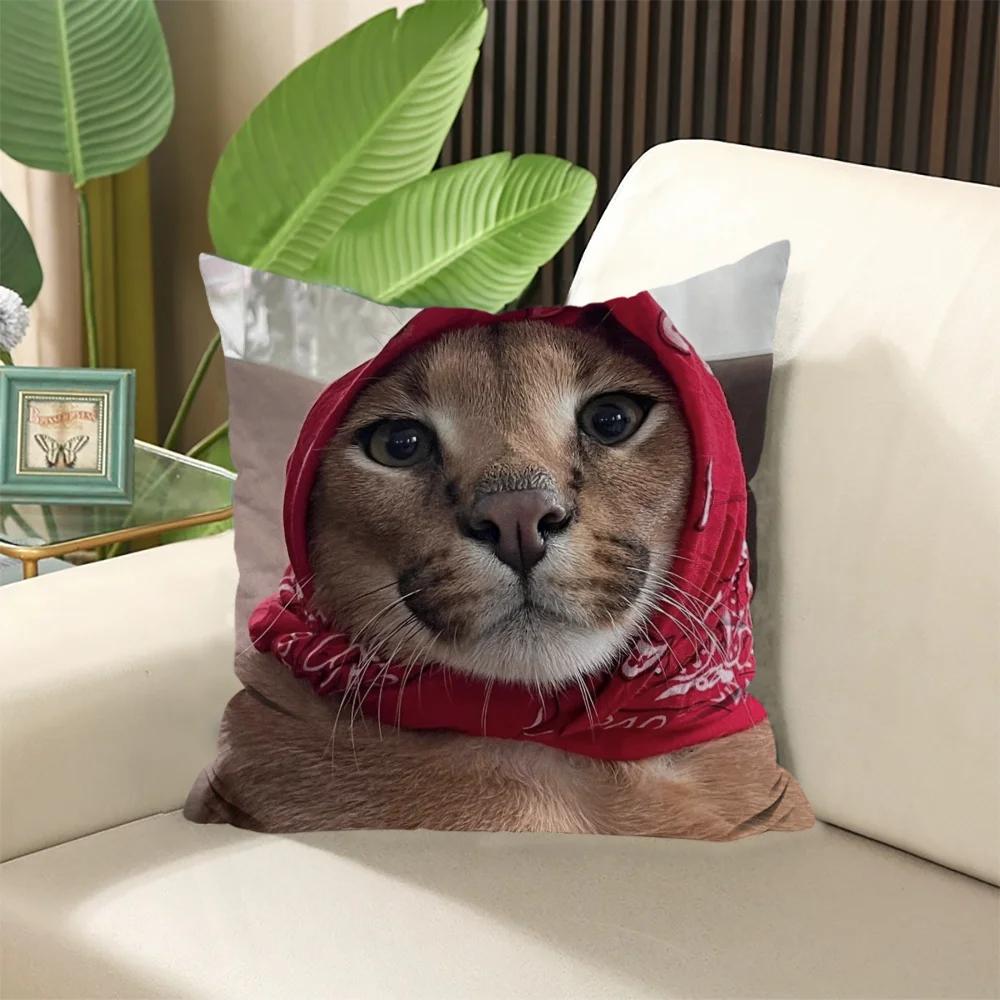 Наволочки Каракал × Набивные подушки Подушка для сна Наволочка Декоративные подушки Наволочки для дивана × Элегантная комната Домашний текстиль