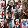 Camping Pet Chest Bag Pet Backpack Dog Cat Carrier Bag Pet Strap Shoulder Bag Dog Strap Backpack