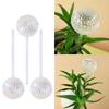 3pc Plant Watering Globes Device Colorful Ball Self Watering Planter Insert Automatic Water Irrigation Device for Indoor
