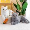 Новая милая плюшевая игрушка-кошка, кукла, питомец, кошка, домашний автомобиль, детский подарок