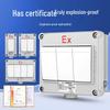 SD'ZM Explosion-Proof Wall Switch