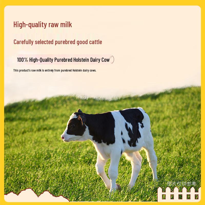 Beihai Pasture Extra Rich Pure Milk 200ml x 12 Boxes