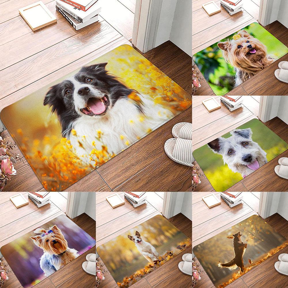 Floor Mat Entrance Door Mat Small Carpet Non-slip Door Mat Living Room Bathroom Kitchen Rug