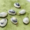10 шт., Бохо Натуральные Ракушки Сплав Цинка Золотая Кромка Подвески Шармы для DIY Аксессуары для Ожерелья, Креативное Изготовление Ювелирных Изделий, Женщины Мужчины Оптом Подарки для Рукоделия