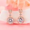 Sace Gems Classic Copper Alloy Zircon Earrings for Women Wedding Party Gifts