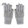 Thickened Plush Thermal Mittens 1 Pair Winter Warm Fleece Lined Gloves for Women Men, Cold Sensitive Fingertip Tech Weather Gloves, Knit Touchscreen