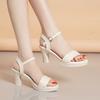 Sandals 2025 New Female Fashion Trend Internet Celebrity Explosion Summer Wear Ins Fairy Style Versatile High Heels