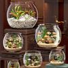Round Fish Tank Transparent Round Ornamental Fish Tank Portable Small Fish Bowl Small Ornamental Home Decor for Ornamental Fish