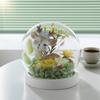 Eternal Flower Glass Cover Valentine's Day Birthday Girlfriend Christmas Gift Creative Gift Festival
