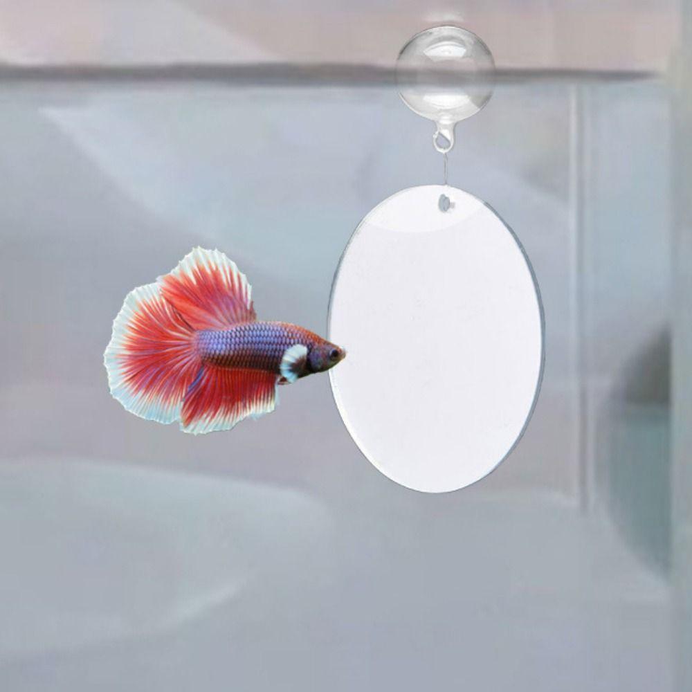 Круглое зеркало для аквариума Петушок Декоративное плавающее зеркало для аквариума Зеркало для игры рыб Игра