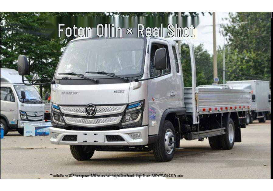 Foton Ollin X Electric Light Truck Van Body Kit & Floor Mats