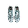 Nike Air Max Plus Palm Pack - мужские кроссовки Waterway Silver Fiberglass White FV0394-300