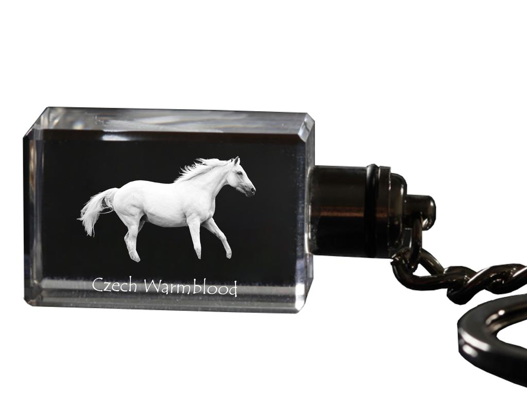Czech Warmblood - Crystal Pendant with Photo of a Horse, Illuminated Pendant, Unique Gift by Art-Dog Brand