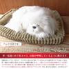 Nini and Kino Perfect Pet (Small Size) Maltese Plush Toy Dog Dog Realistic Look-alike Miscellaneous Goods Animal Healing Moving Present Gift