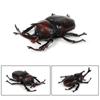 Realistic Beetle Action Figures Wild Insect Lifelike Insect Figurines  Desktop Ornament
