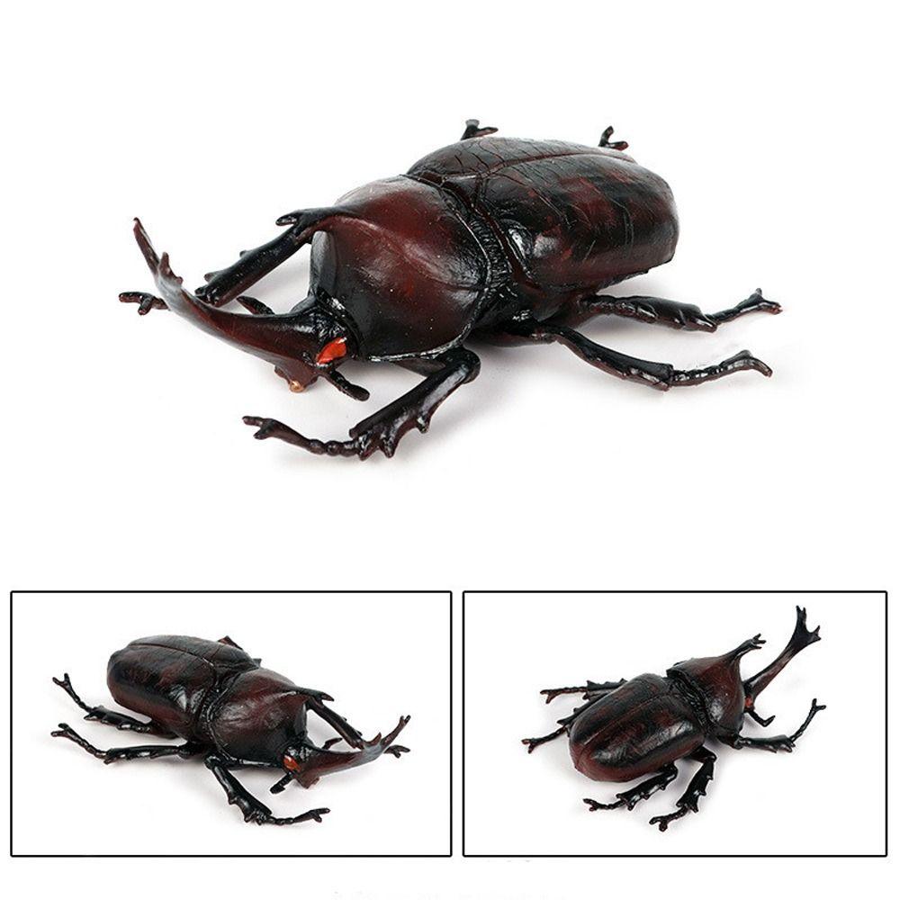 Realistic Beetle Action Figures Wild Insect Lifelike Insect Figurines Desktop Ornament