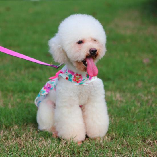 Платье для щенка с цветочным принтом, плиссированные края, очаровательная, хорошая пластичность, дышащий бант, украшение для платья