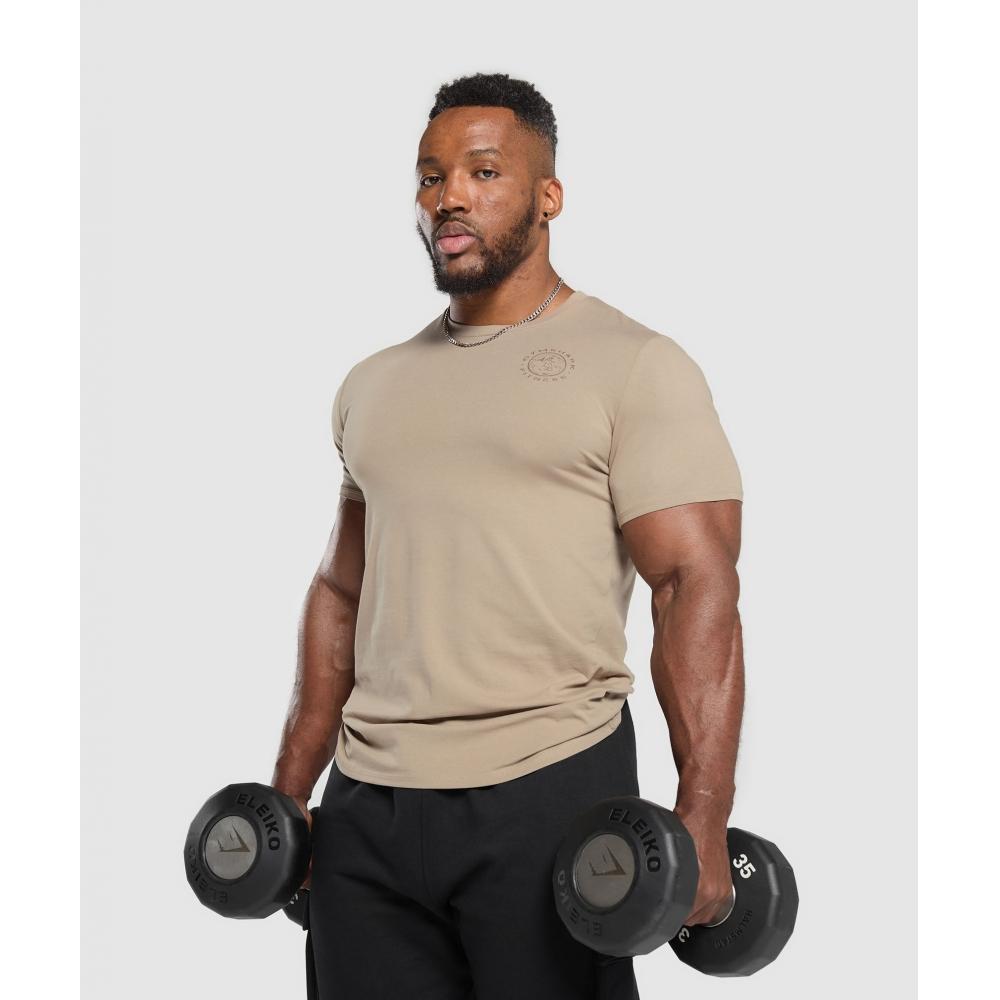 Gymshark Футболка Legacy Cement Brown A5a3b Nbzd