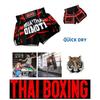 Tiger Muay Thai Kickboxing Boxing MMA UFC Casual Shorts Gym Sport Unisex Men Women Workout Quick Dry Print Elastic High Waist Training