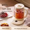Source Health 1.8L Multi-Function Electric Tea Maker Kettle with Insulation