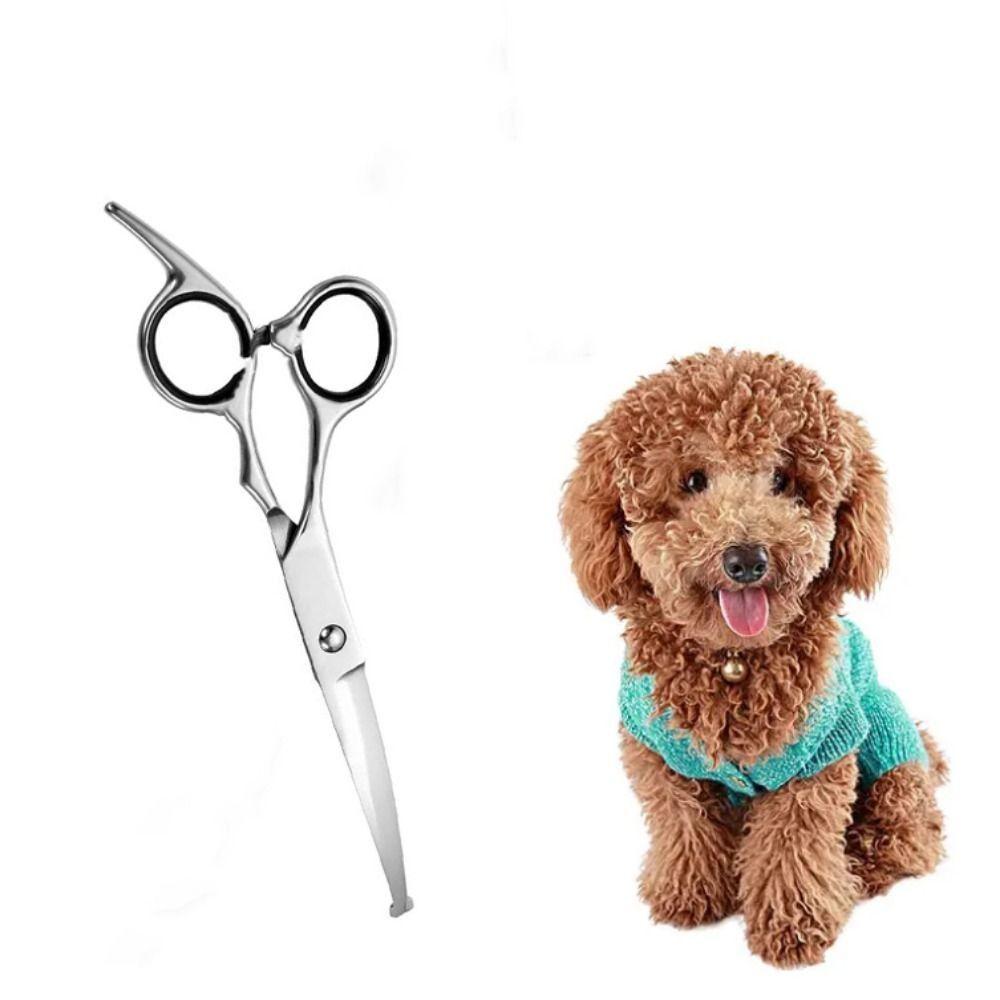 With Safety Round Tips Pet Grooming Shears Pet Hairdressing Curve Scissors  Grooming
