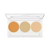 PNSSL Палитра консилеров Dermacolor Perfect для тела 10 г