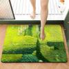 Household Quick-drying Diatom Mud Bathroom Floor Mats Toilet Toilet Door Absorbent Mats Toilet Foot Mats Non-slip Mats