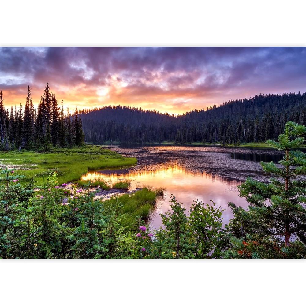 Sunset Lake Forest Wall Mural Golden Sky Nature Landscape Wallpaper Home Decor
