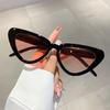 Cat's Eye Sun Glasses Retro Fashion Sunglasses Trendy Street Photo Sunglasses