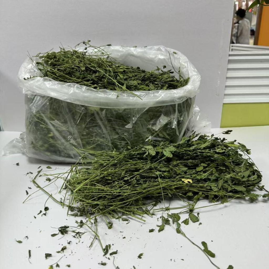 1000g Pack: Alfalfa Hay for Young Rabbits, Chinchillas & Guinea Pigs