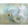 Алмазная вышивка Картина Изысканная мозаика Стежок Летающая лошадь Картина Домашний декор