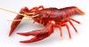 Бесплатная исследовательская серия Существа Американский рак Пластиковая модель №24 (красный)