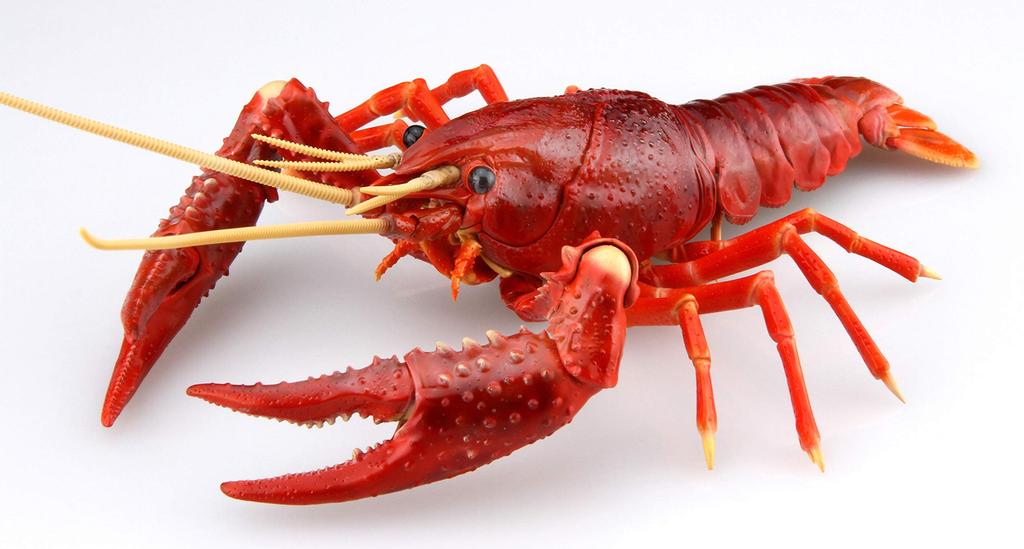 Бесплатная исследовательская серия Существа Американский рак Пластиковая модель №24 (красный)